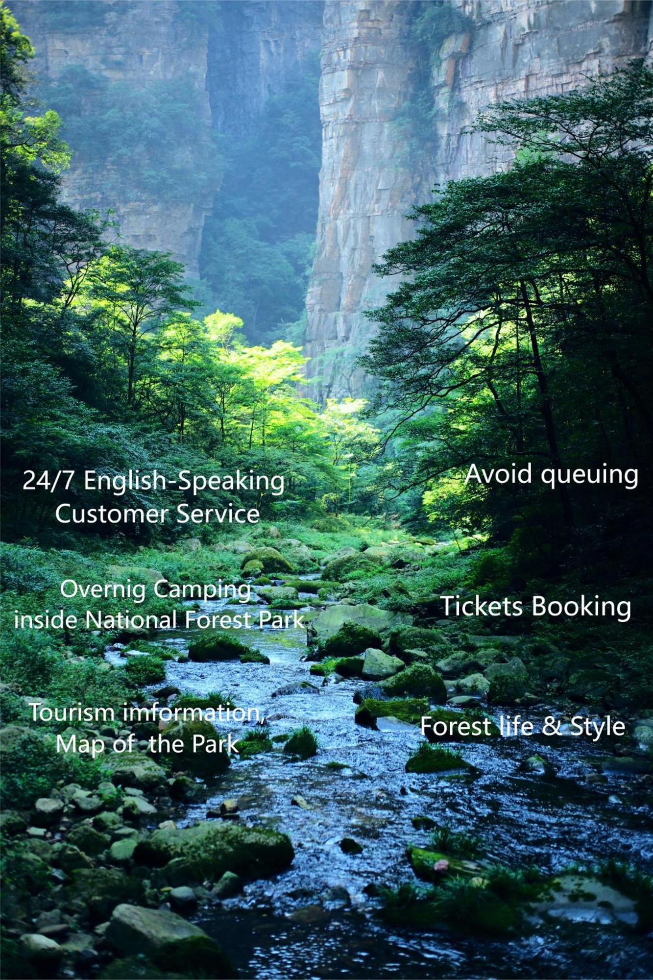 Zhangjiajie National Forest Park Camping Luaran gambar